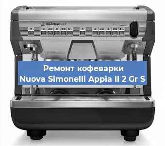 Чистка кофемашины Nuova Simonelli Appia II 2 Gr S от накипи в Нижнем Новгороде